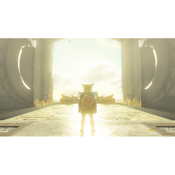 Switch The Legend of Zelda:Tears of the Kingdom TOTK