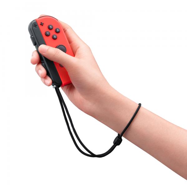 Switch Nintendo Switch Sports