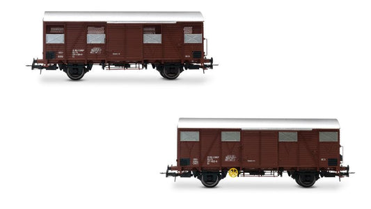 Rivarossi - FS 2-UNIT PACK Gs WAGONS WALLS MADE FROM WOODEN PLANKS EP.IV 1:87 - Cod. HR6645