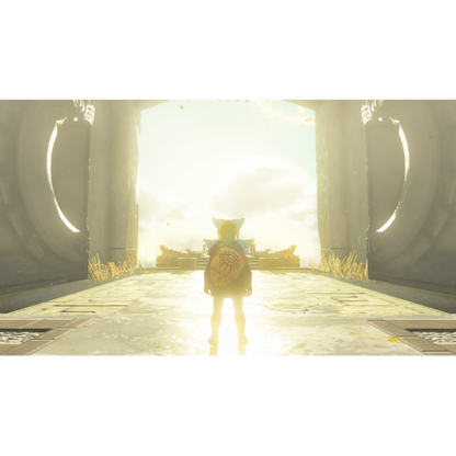 Switch The Legend of Zelda:Tears of the Kingdom TOTK